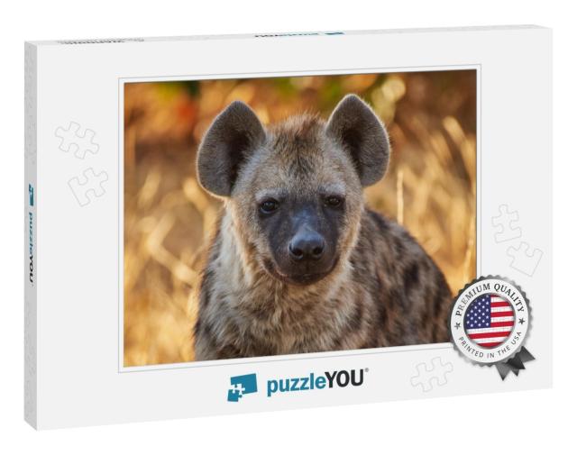 Young Hyena During Golden Hour... Jigsaw Puzzle