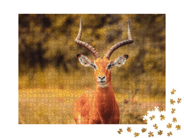 A Beautiful Impala Antelope in a Park... Jigsaw Puzzle with 1000 pieces