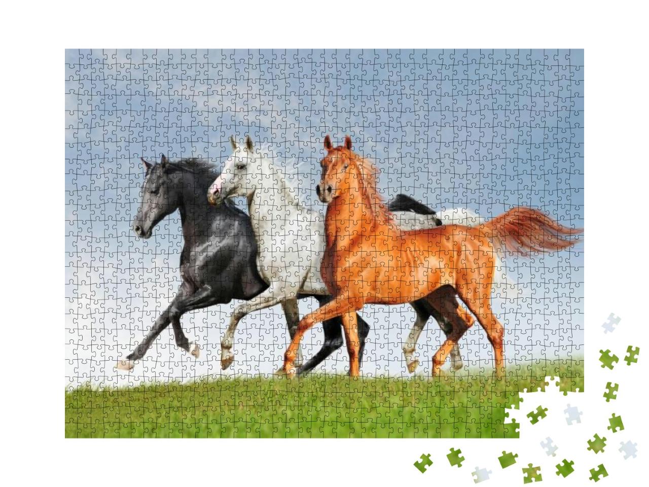 Three Arab Horse Runs Free... Jigsaw Puzzle with 1000 pieces