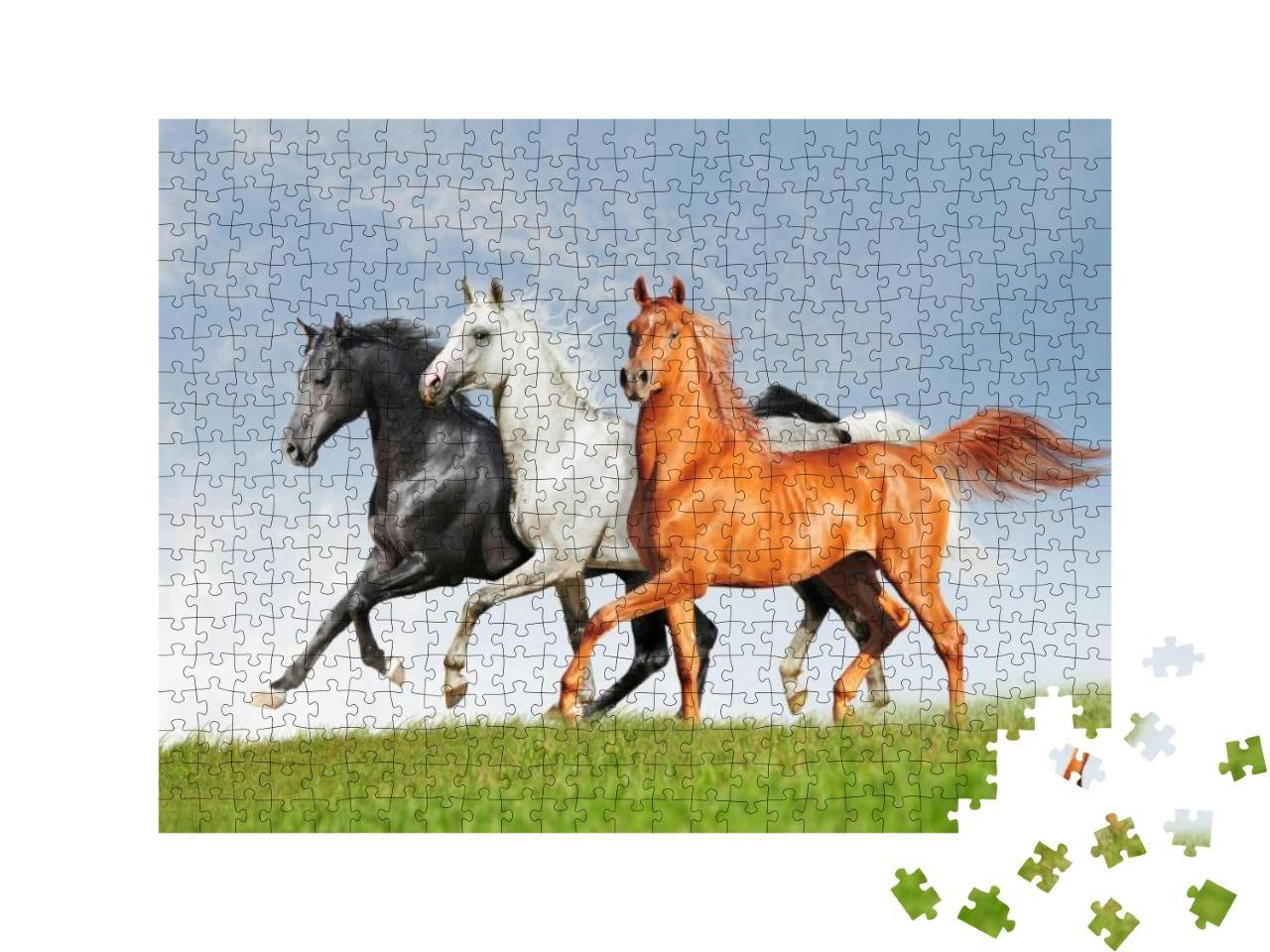 Three Arab Horse Runs Free... Jigsaw Puzzle with 500 pieces