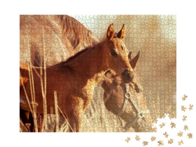 Cute Little Foal - Sunset Portrait... Jigsaw Puzzle with 1000 pieces