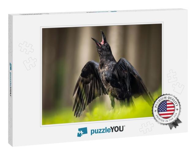 The Common Raven Corvus Corax, Also Known as the Western... Jigsaw Puzzle