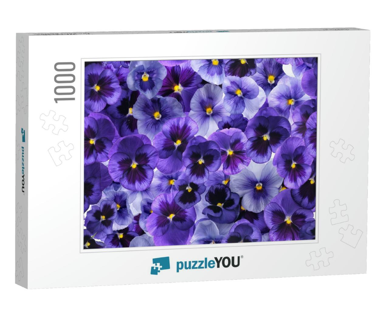 Photographed Fresh Purple Viola Flowers, Covering Complet... Jigsaw Puzzle with 1000 pieces