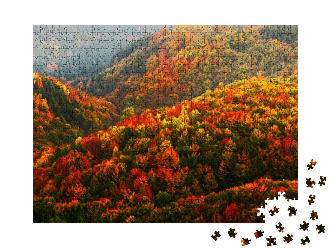 Beautiful Orange & Red Autumn Forest, Many Trees on the O... Jigsaw Puzzle with 1000 pieces