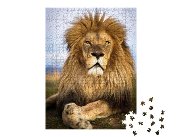 Wild Lions in South Africa... Jigsaw Puzzle with 1000 pieces