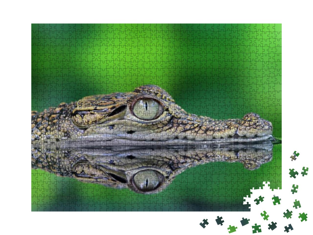 Crocodile, Crocodile in Reflection... Jigsaw Puzzle with 1000 pieces