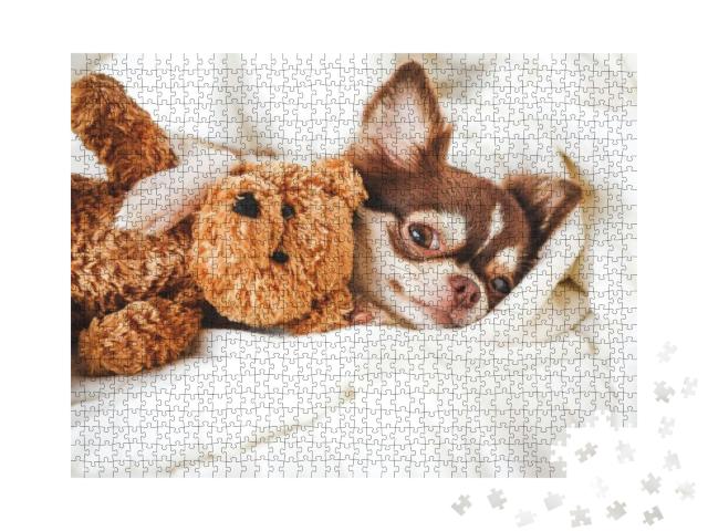 Cute Chihuahua Puppy Sleeping with Teddy Bear on the Whit... Jigsaw Puzzle with 1000 pieces