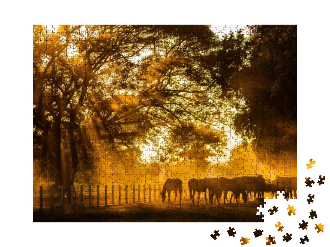 Golden Light in the Stables... Jigsaw Puzzle with 1000 pieces