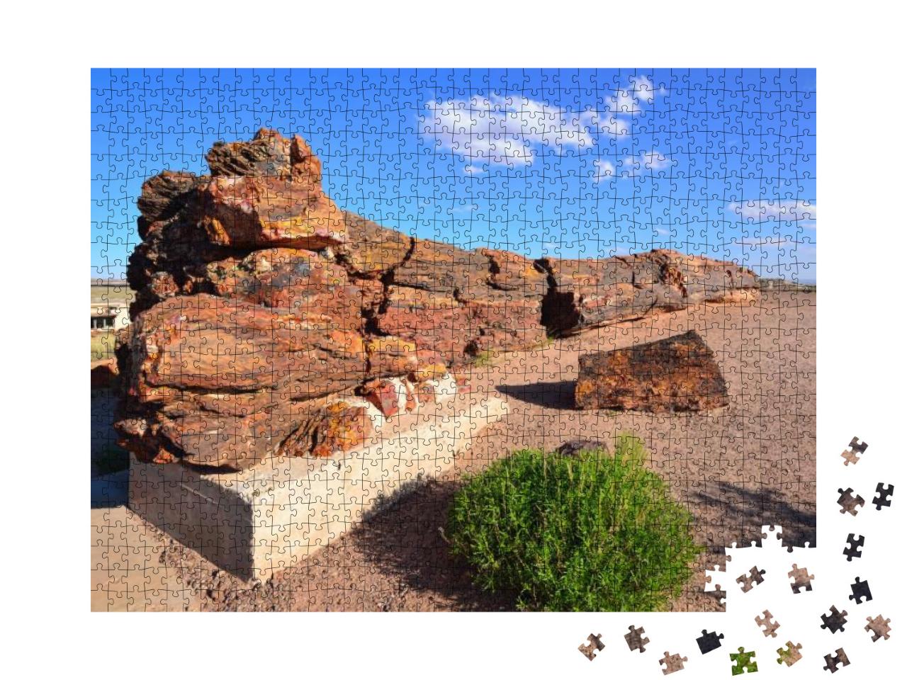 Usa, Petrified Forest National Park... Jigsaw Puzzle with 1000 pieces