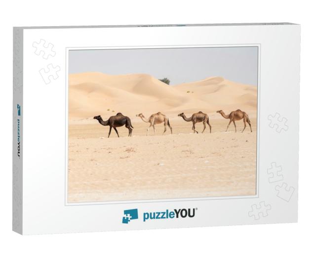 4 Camels Walking Free in a Row in the Abu Dhabi Desert wi... Jigsaw Puzzle