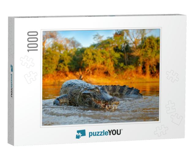 Crocodile Catch Fish in River Water, Evening Light. Yacar... Jigsaw Puzzle with 1000 pieces
