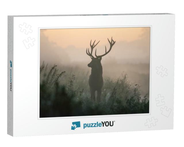 A Deer in the Colors of a Foggy Morning... Jigsaw Puzzle