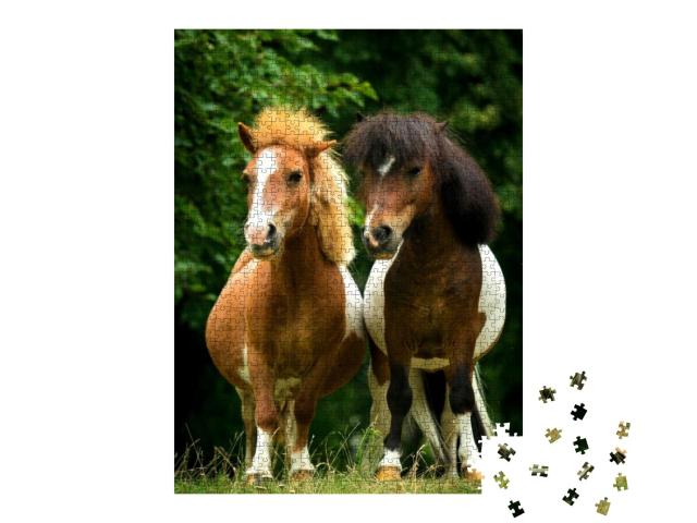 Two Little Painted Ponies Standing Close... Jigsaw Puzzle with 1000 pieces