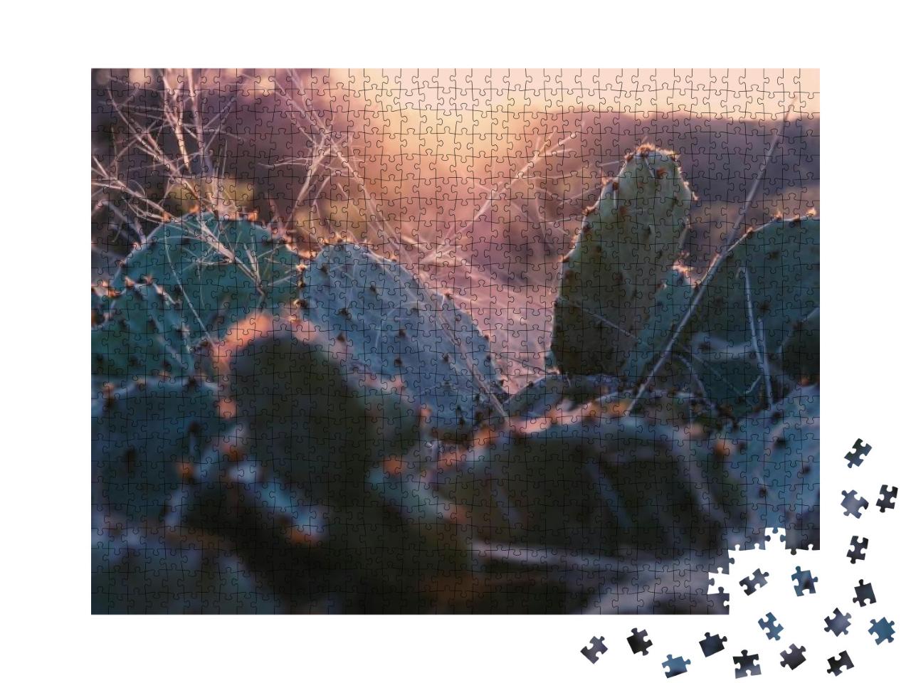 Prickly Pear Cactus with Blurred Foreground in Scenic Tex... Jigsaw Puzzle with 1000 pieces