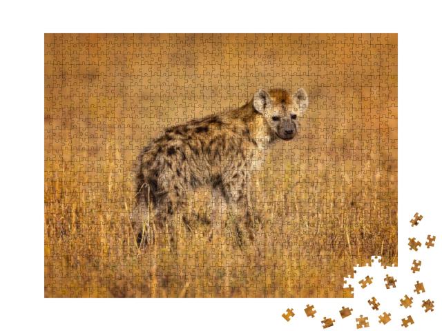 Spotted Hyena Crocuta Crocuta, Also Known as the Laughing... Jigsaw Puzzle with 1000 pieces