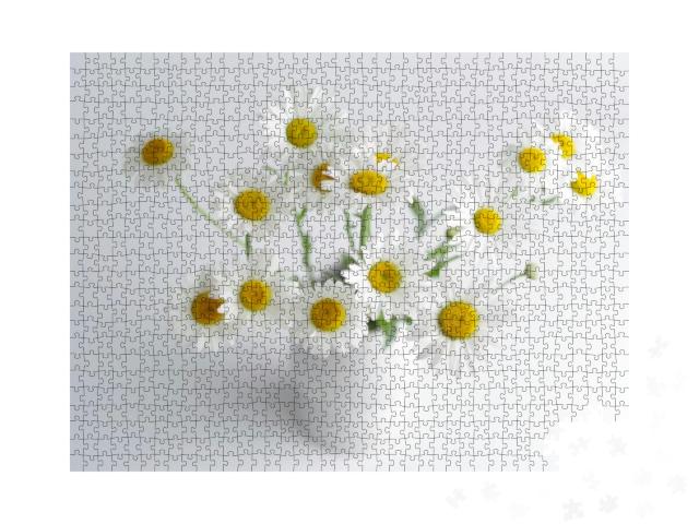 A Bouquet of White Daisies in a White Vase on a White Bac... Jigsaw Puzzle with 1000 pieces