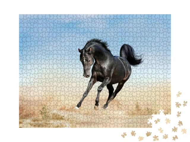 Akhal-Teke Horse Running in Desert... Jigsaw Puzzle with 1000 pieces