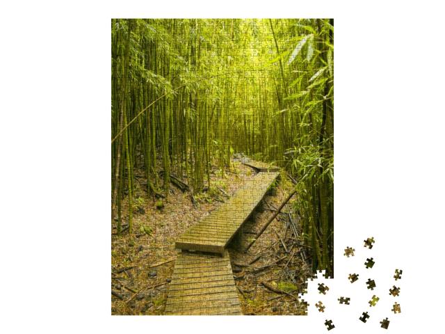Bamboo Trail, Haleakala National Park, Maui... Jigsaw Puzzle with 1000 pieces