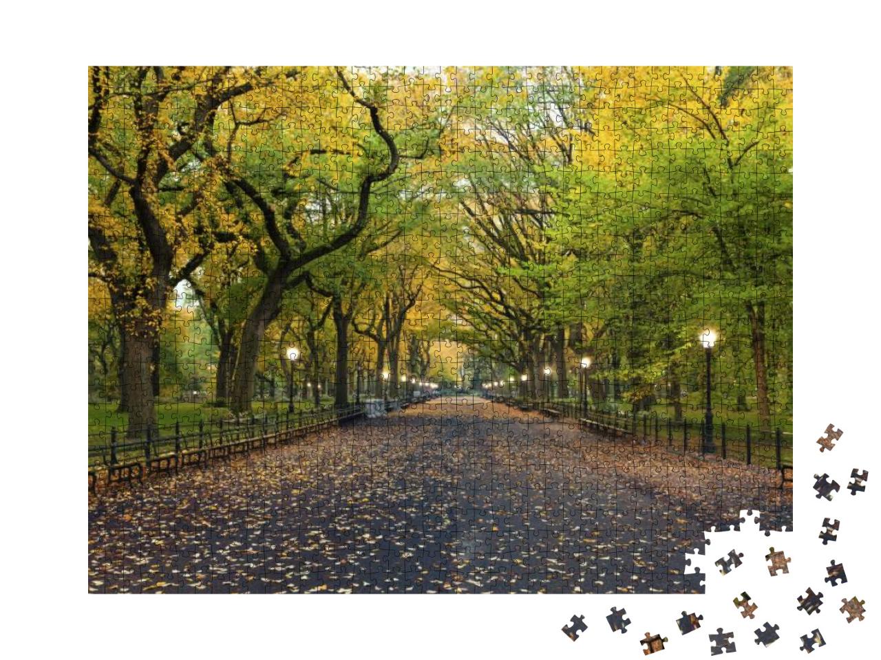Central Park. Image of the Mall Area in Central Park, New... Jigsaw Puzzle with 1000 pieces