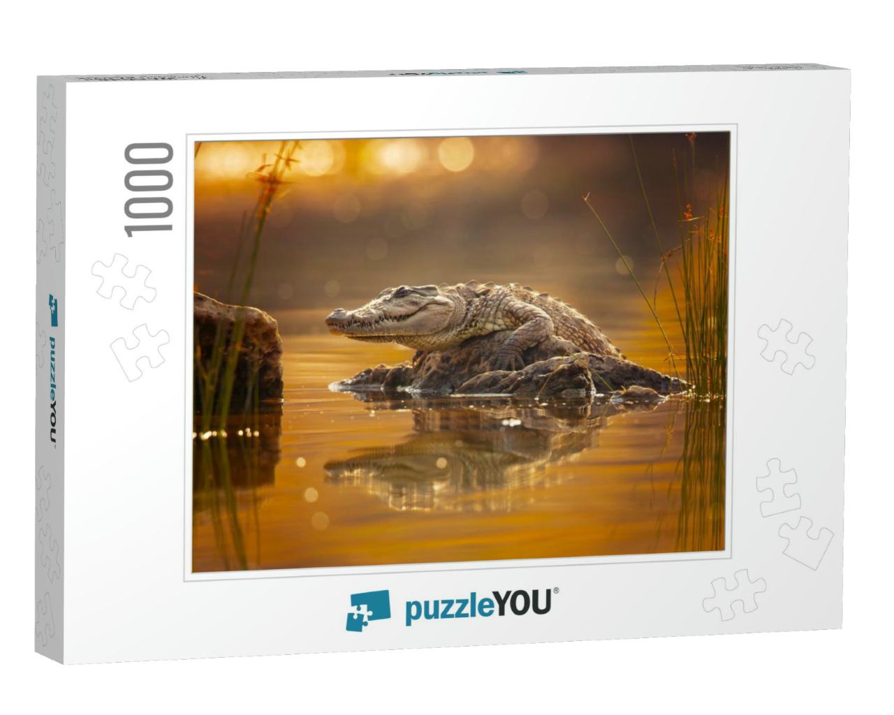 Mugger Crocodile Crocodylus Palustris, Also Called Marsh... Jigsaw Puzzle with 1000 pieces