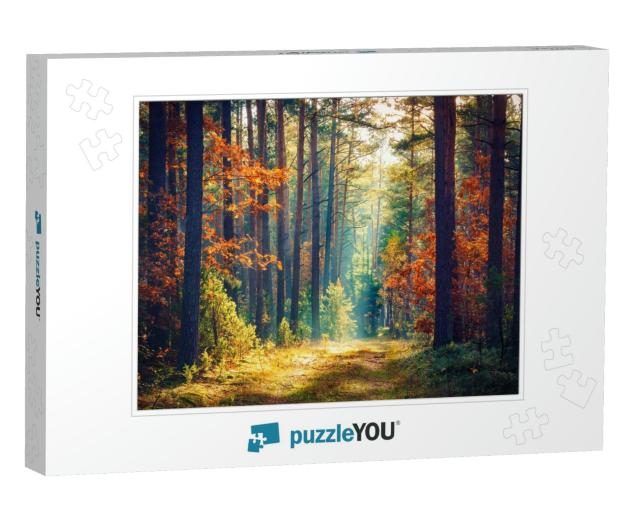 Autumn Forest Nature. Vivid Morning in Colorful Forest wi... Jigsaw Puzzle