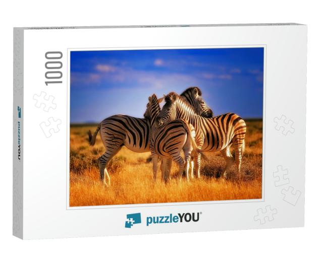 Three Zebras Caught Showing Love... Jigsaw Puzzle with 1000 pieces