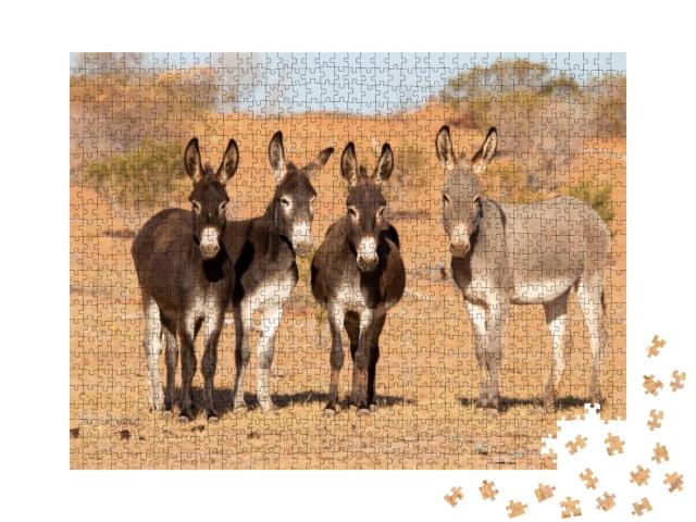 Wild Donkeys Living in Outback Australia... Jigsaw Puzzle with 1000 pieces