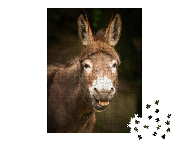 Funny Smiling Donkey... Jigsaw Puzzle with 1000 pieces