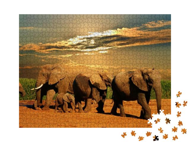 African Elephant Herd, Loxodonta Africana, of Different A... Jigsaw Puzzle with 1000 pieces