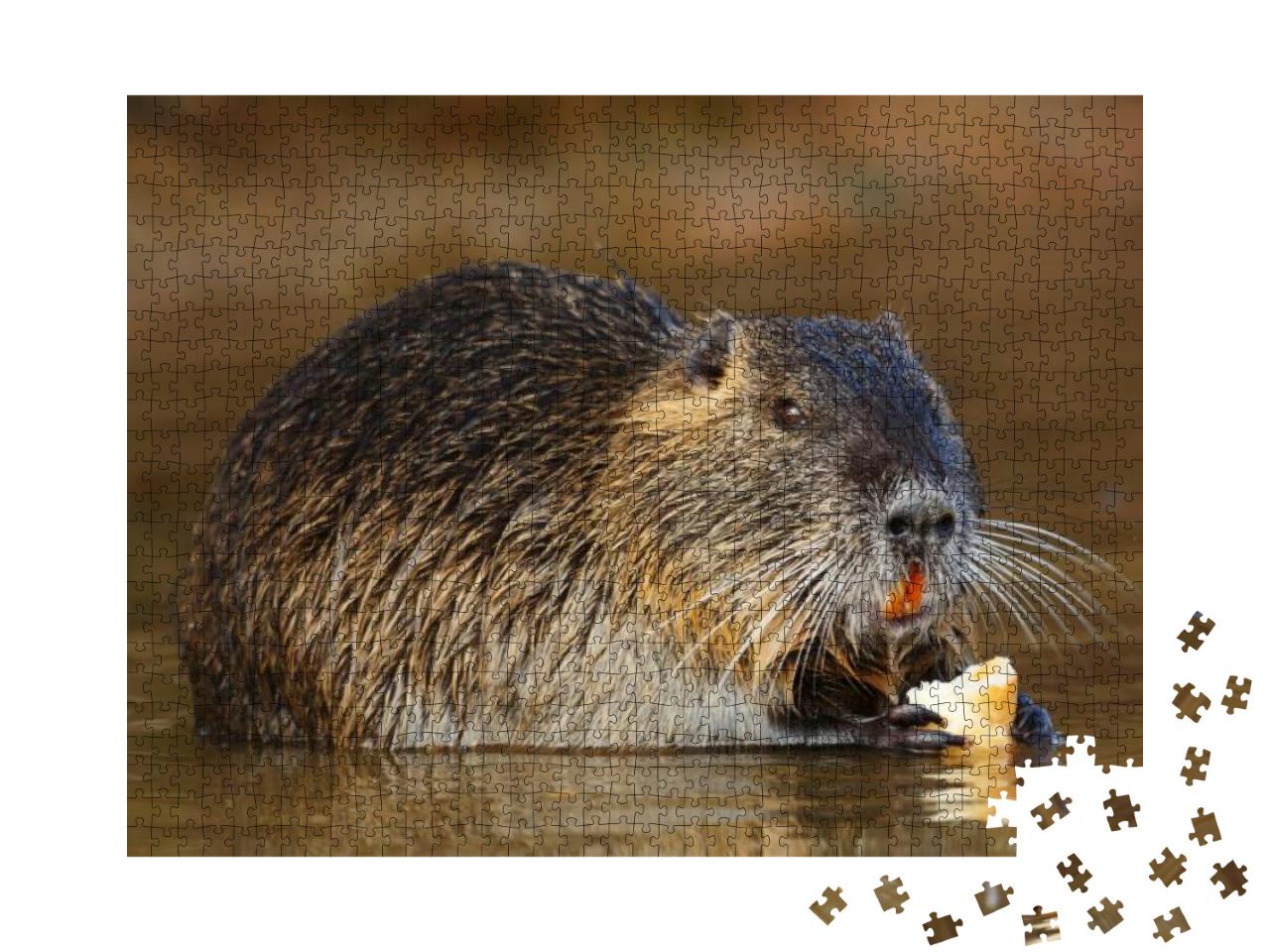 Coypu is Eating... Jigsaw Puzzle with 1000 pieces