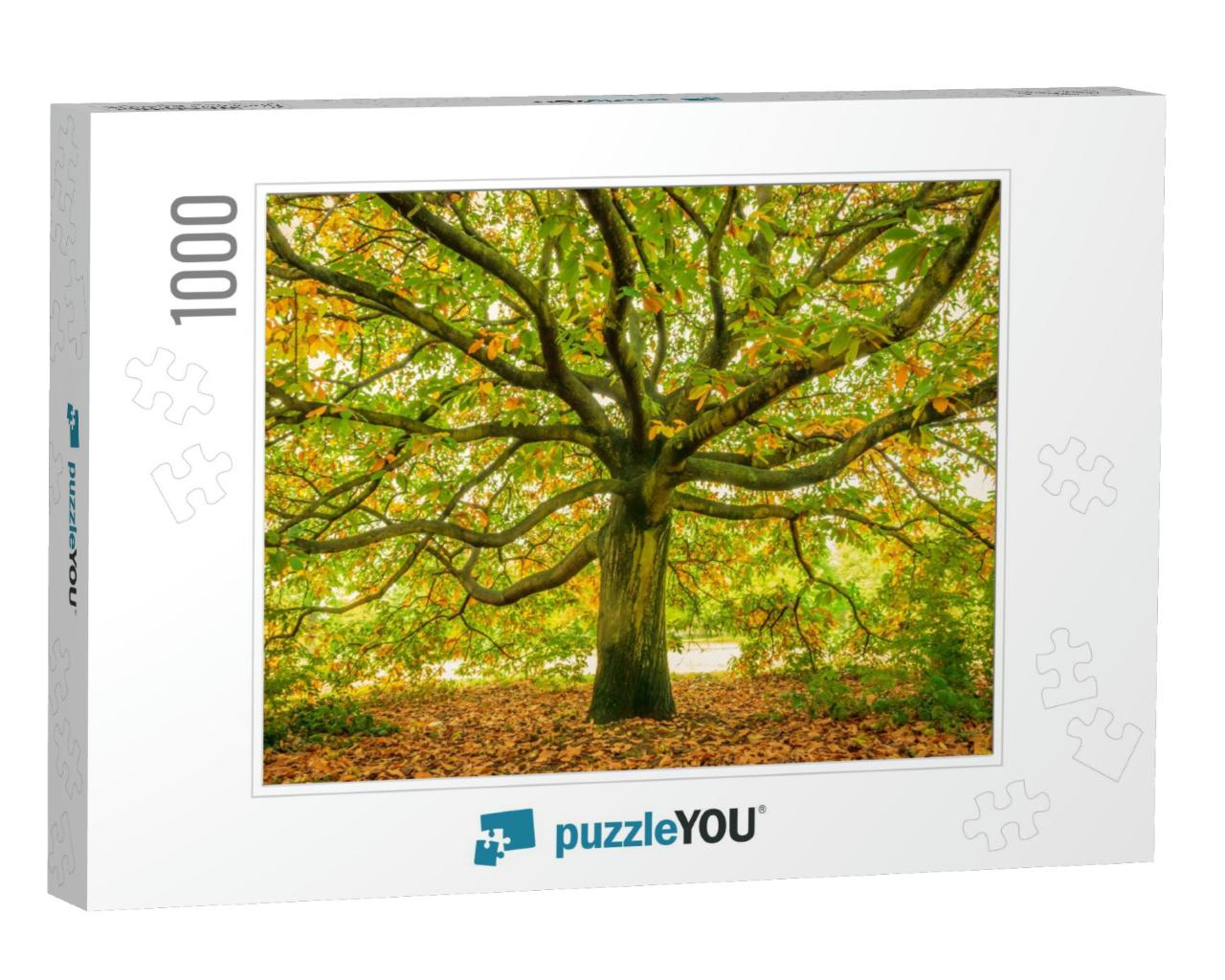 Large Oak Tree, London, England... Jigsaw Puzzle with 1000 pieces