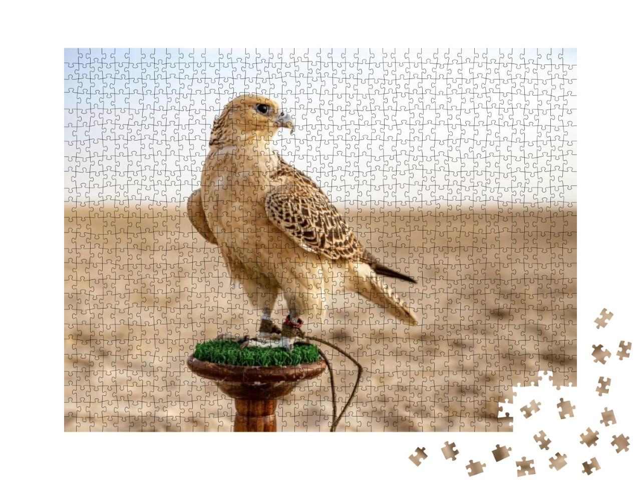 White & Beige Falcon Sitting in the Desert... Jigsaw Puzzle with 1000 pieces
