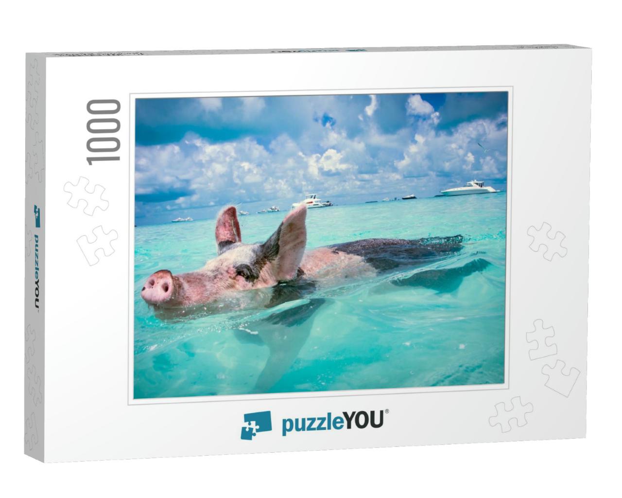 The Swimming Pigs of the Bahamas... Jigsaw Puzzle with 1000 pieces