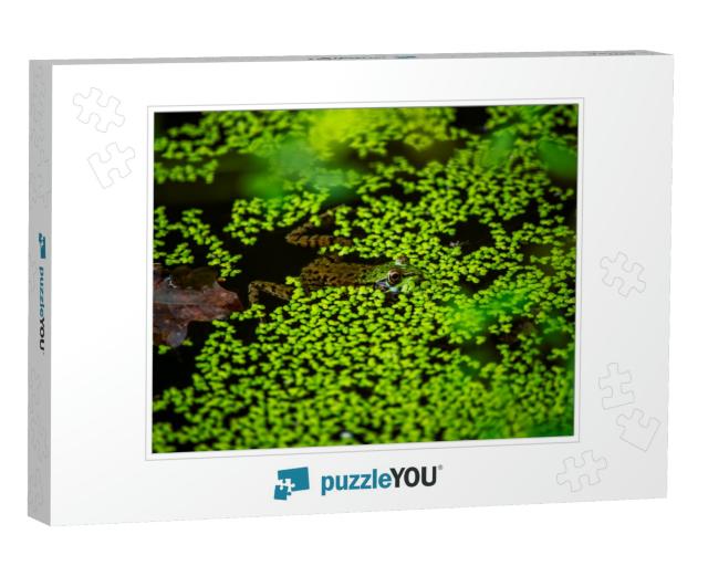 Lily Pad Heaven Jigsaw Puzzle