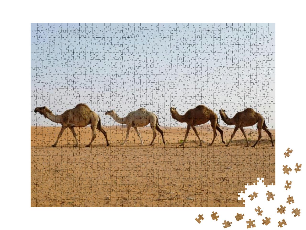 Line of Dromedary Camels Crossing the Arabian Desert in R... Jigsaw Puzzle with 1000 pieces