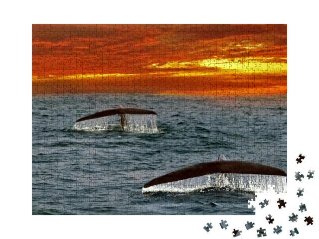 Whales Tails. Mirissa, Sri Lanka. Blue Whale Underwater I... Jigsaw Puzzle with 1000 pieces
