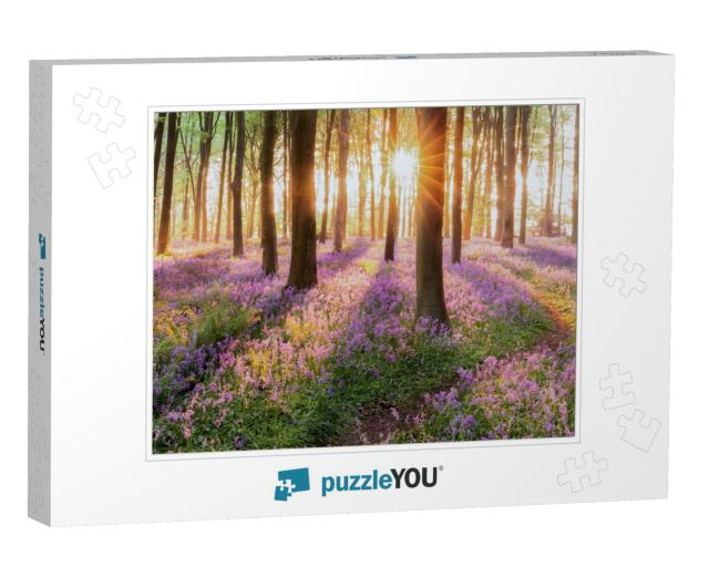 Beautiful Woodland Bluebell Forest in Spring. Purple & Pi... Jigsaw Puzzle