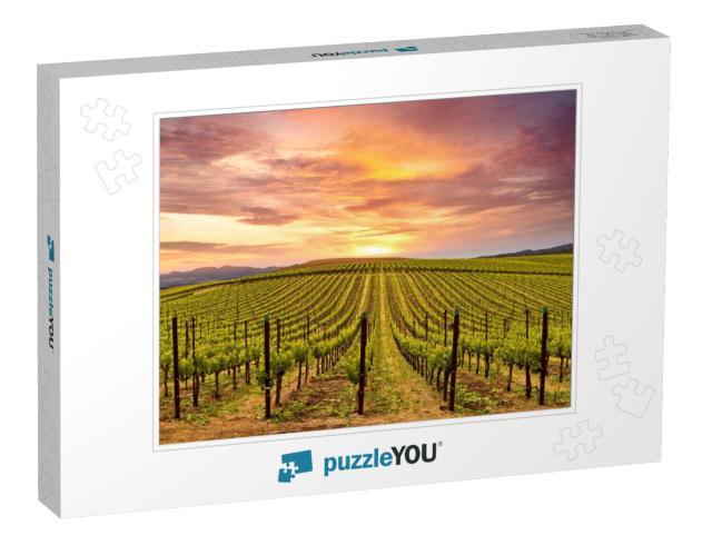 Beautiful Sunset Sky in Napa Valley Wine Country on Sprin... Jigsaw Puzzle