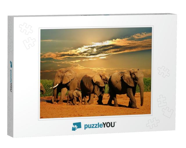 African Elephant Herd, Loxodonta Africana, of Different A... Jigsaw Puzzle