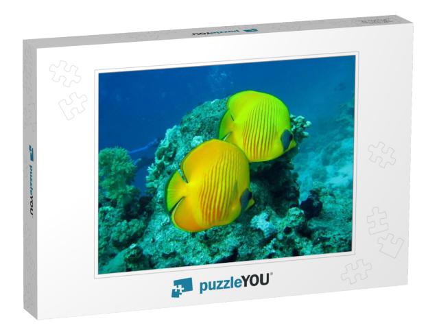 Beautiful & Diverse Coral Reef with Fishes of the Red Sea... Jigsaw Puzzle