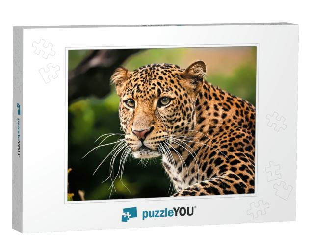 The Portrait of Javan Leopard... Jigsaw Puzzle