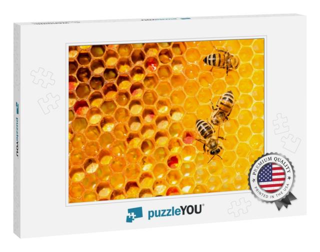 Closeup of Bees on Honeycomb in Apiary - Selective Focus... Jigsaw Puzzle