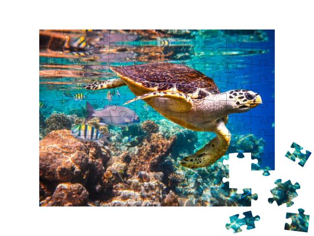 Hawksbill Turtle - Eretmochelys Imbricata Floats Under Wa... Jigsaw Puzzle with 100 pieces