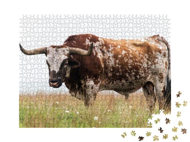 Texas Longhorn Bull At the Wichita Mountains National Wil... Jigsaw Puzzle with 1000 pieces