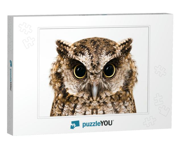 Photo of an Owl in Macro Photography, High Resolution Pho... Jigsaw Puzzle