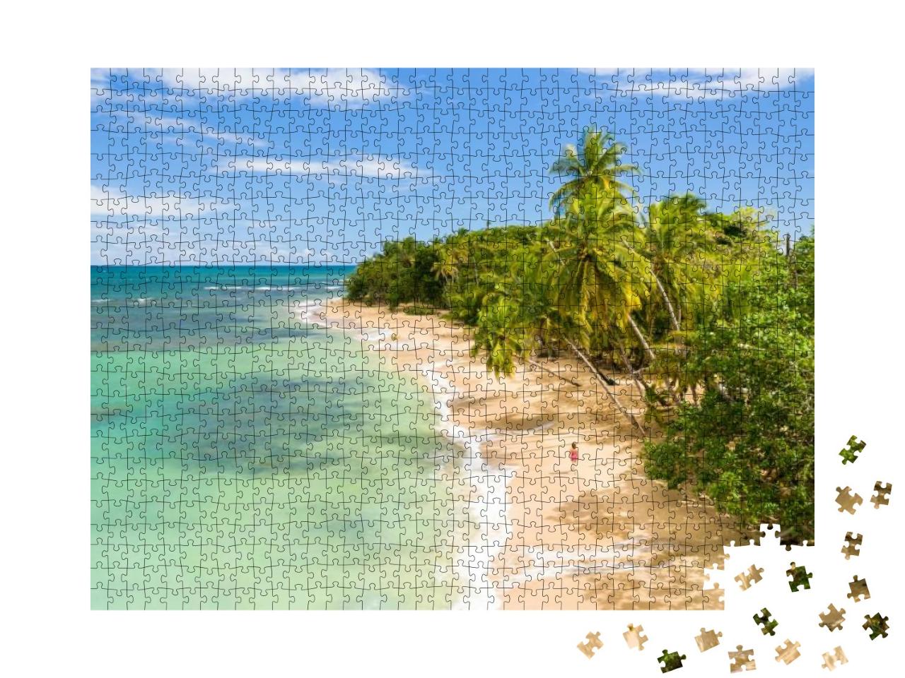Vacation on the Remote Caribbean Sandy Beach Under the Pa... Jigsaw Puzzle with 1000 pieces