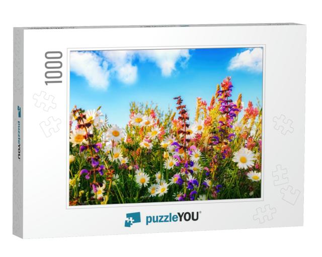 Colorful Spring Flowers on a Meadow in Panorama Format, w... Jigsaw Puzzle with 1000 pieces