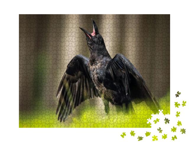 The Common Raven Corvus Corax, Also Known as the Western... Jigsaw Puzzle with 1000 pieces
