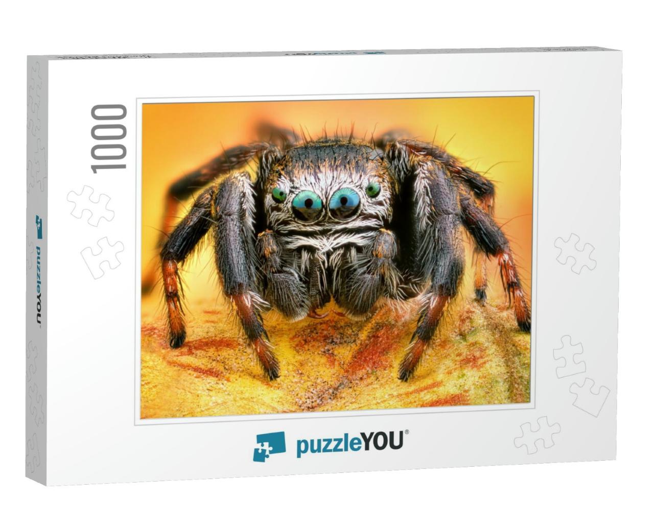 Extreme Sharp & Detailed Portrait of Polish Jumping Spide... Jigsaw Puzzle with 1000 pieces