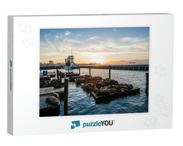 Seal Sea Lions At the Pier 39 of San Francisco with Beaut... Jigsaw Puzzle